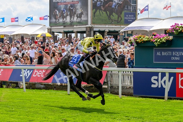 260725-Race 3-Royal Champion-0464 - Race 3 2.40pm Sky Bet York Stakes