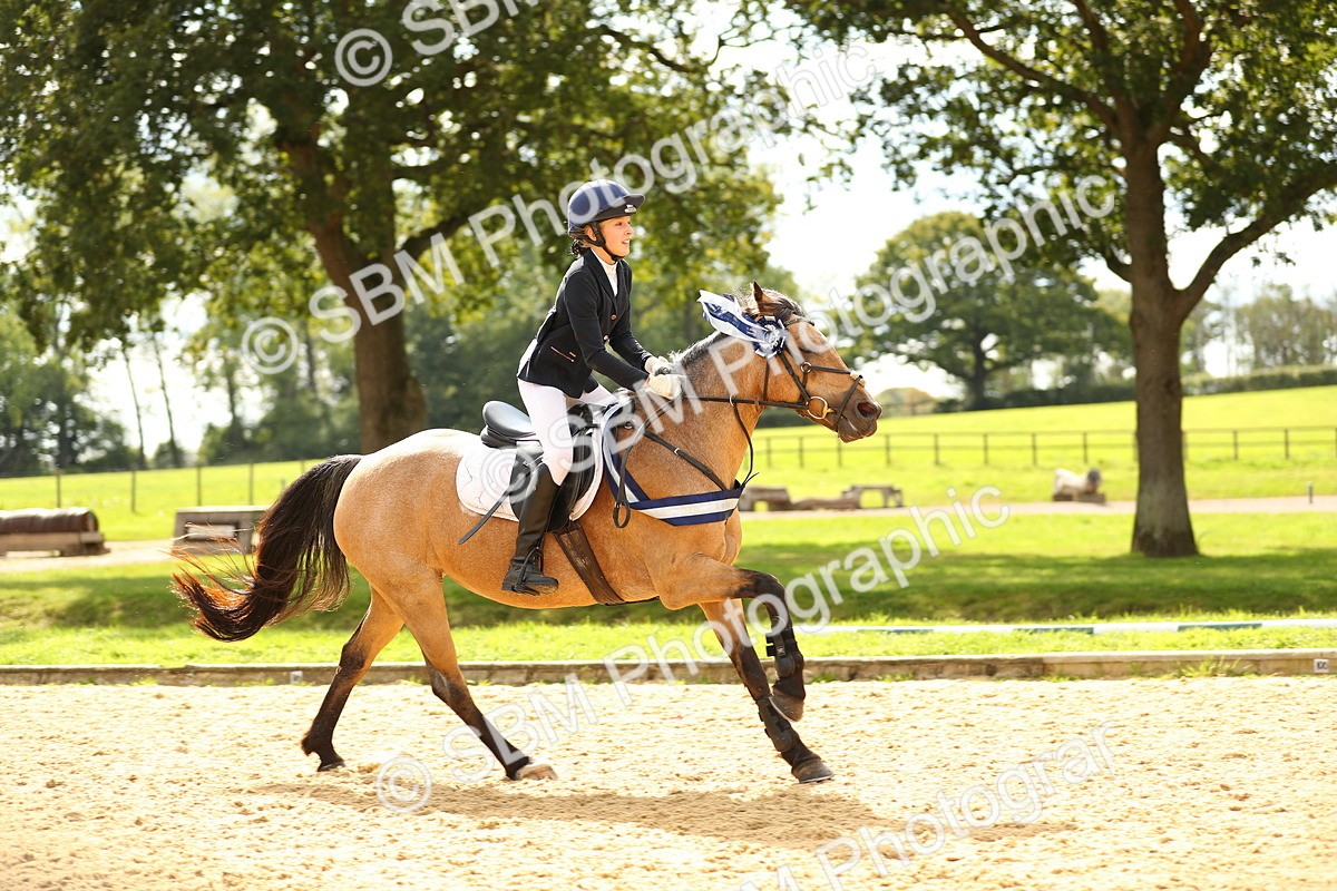 SBM_64191 - Supreme Championship - AM