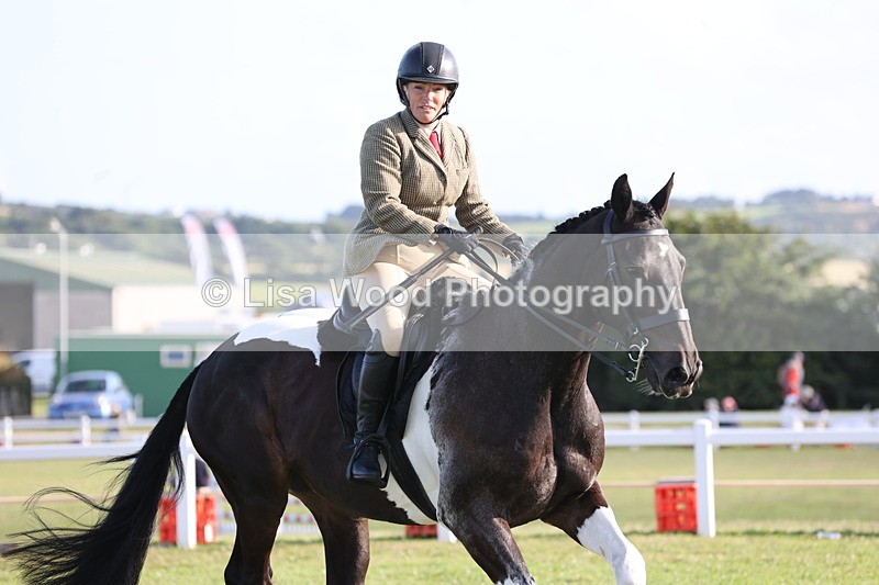 JPP_3447 - Class 22: Working Hunter 90cm