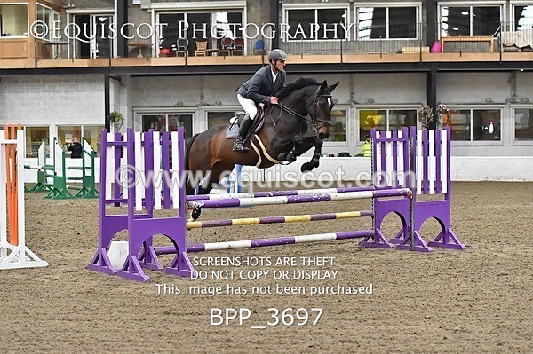 BPP_3697 - FRI CLASS 21 BR NOVICE/90CM