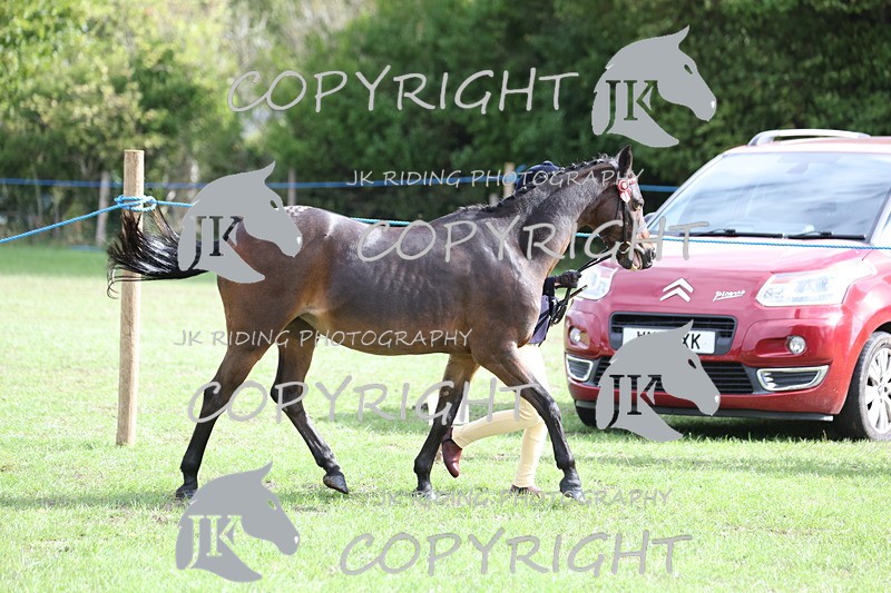 APP_2592 - Class 9 Veterans in hand