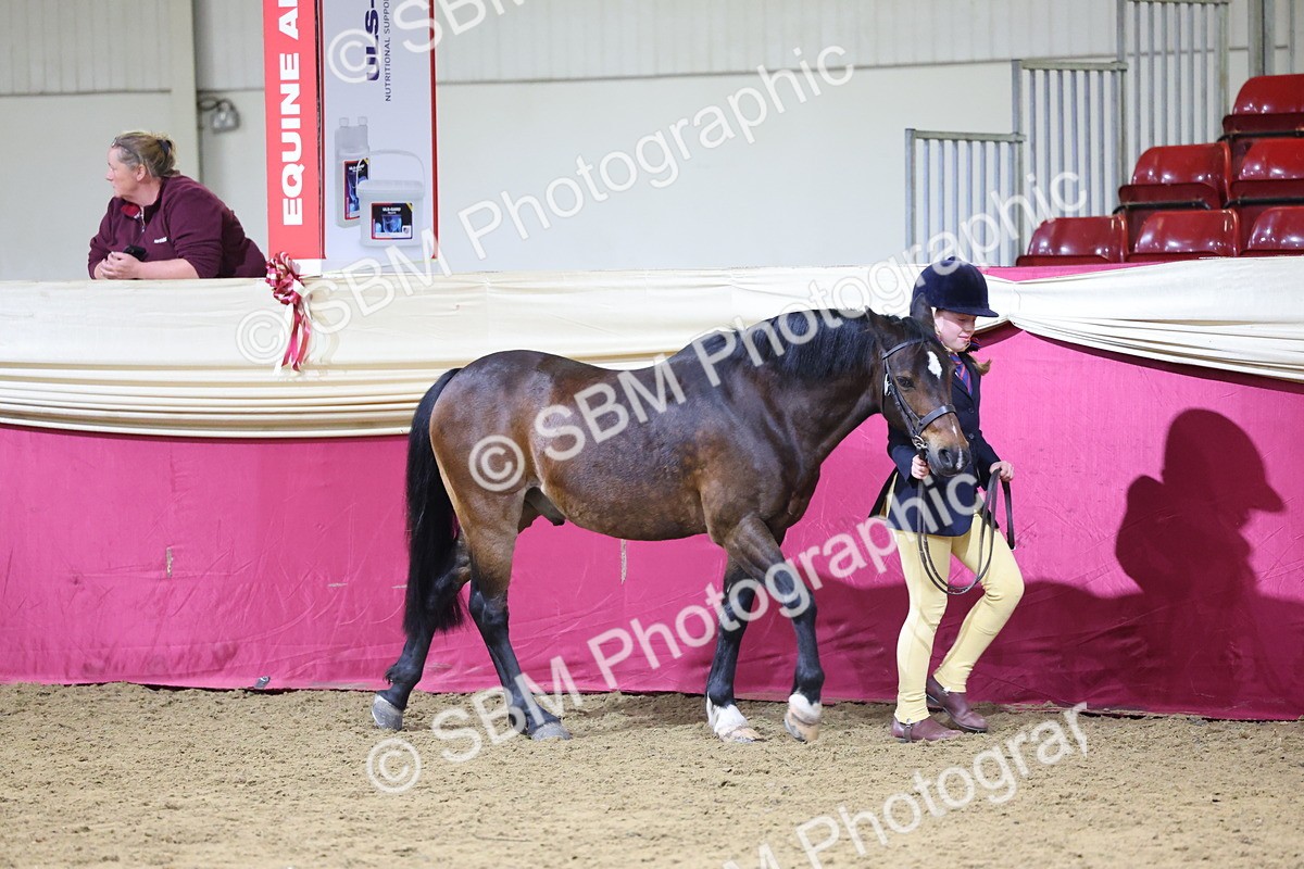 SBM_18541 - Class B Junior Champ 11-16 years