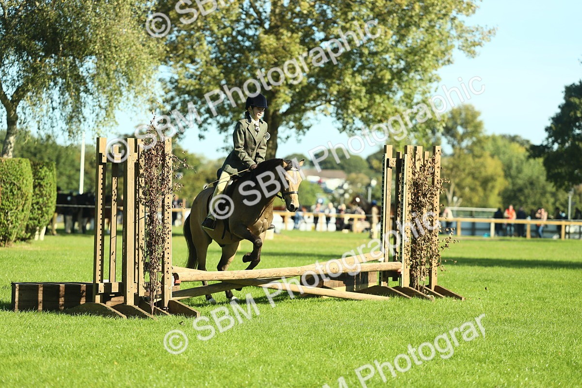 SBM_36492 - S29 - Novice & Newcomers Working Hunter Pony