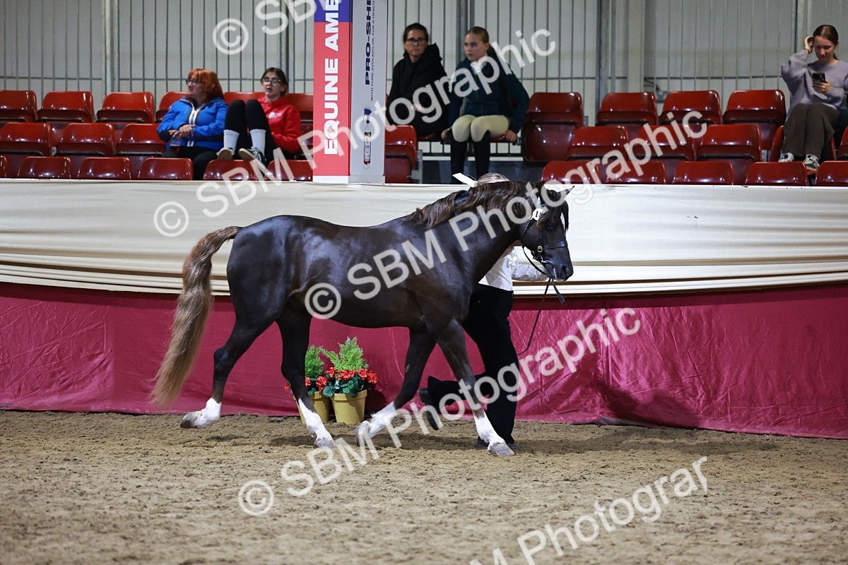 SBM_21504 - Class V - Champion of Champions