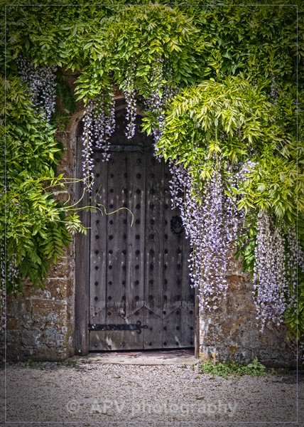  - Forde Abbey