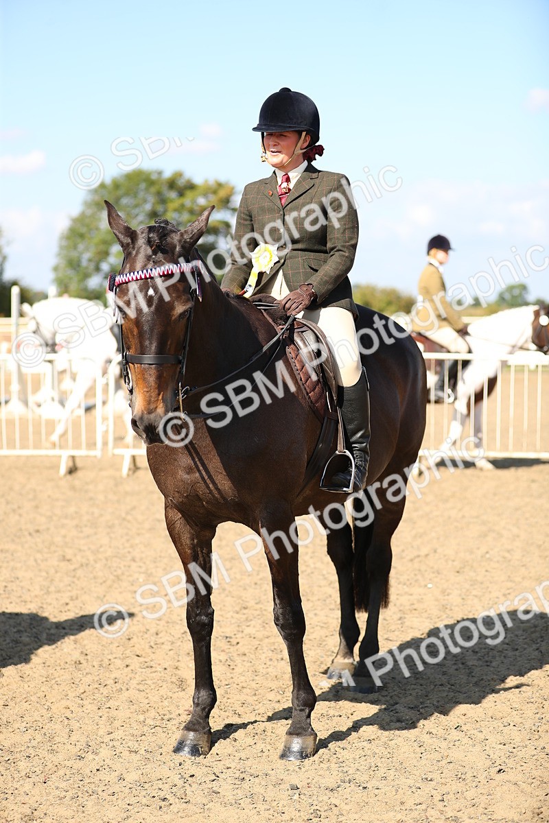 SBM_02407 - Class 43 Ridden Competition Horse/Pony