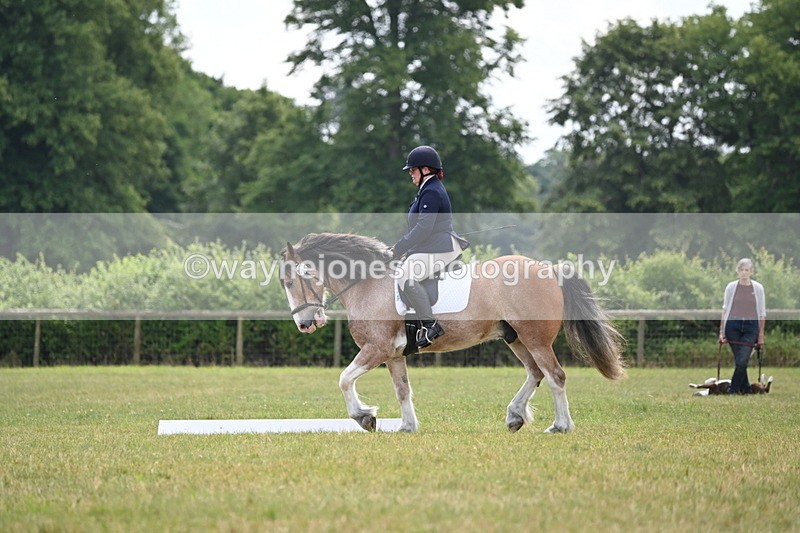 WJ6_7435 - Time 12:25 to 12:56