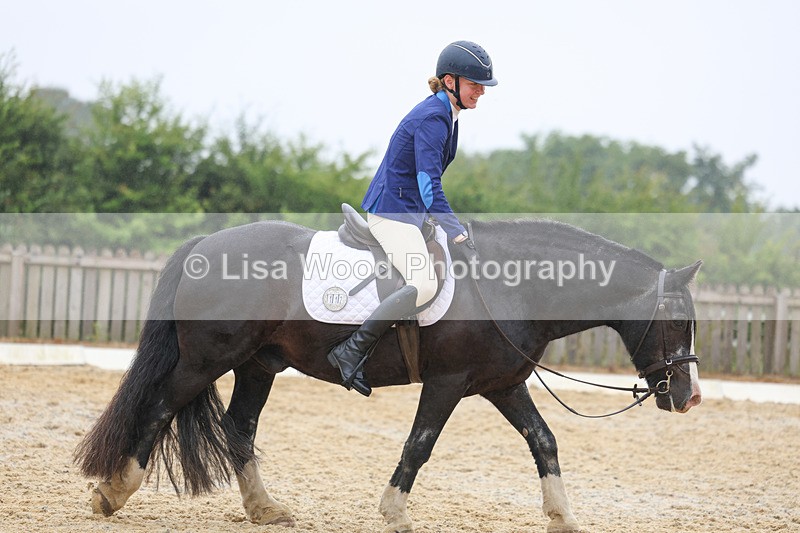 3E7A8445 - Class 2: Intro 3 2024 section B