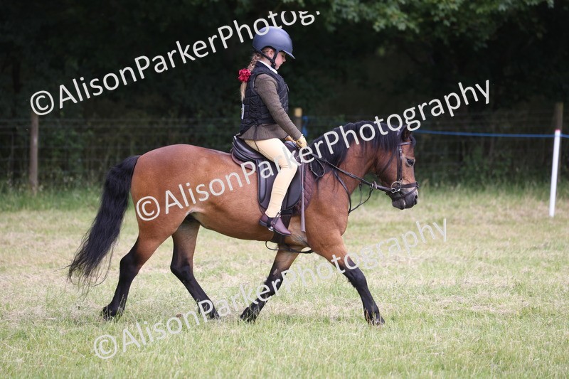 20260614-1826 - Class 21 - Novice Working Hunter Pony