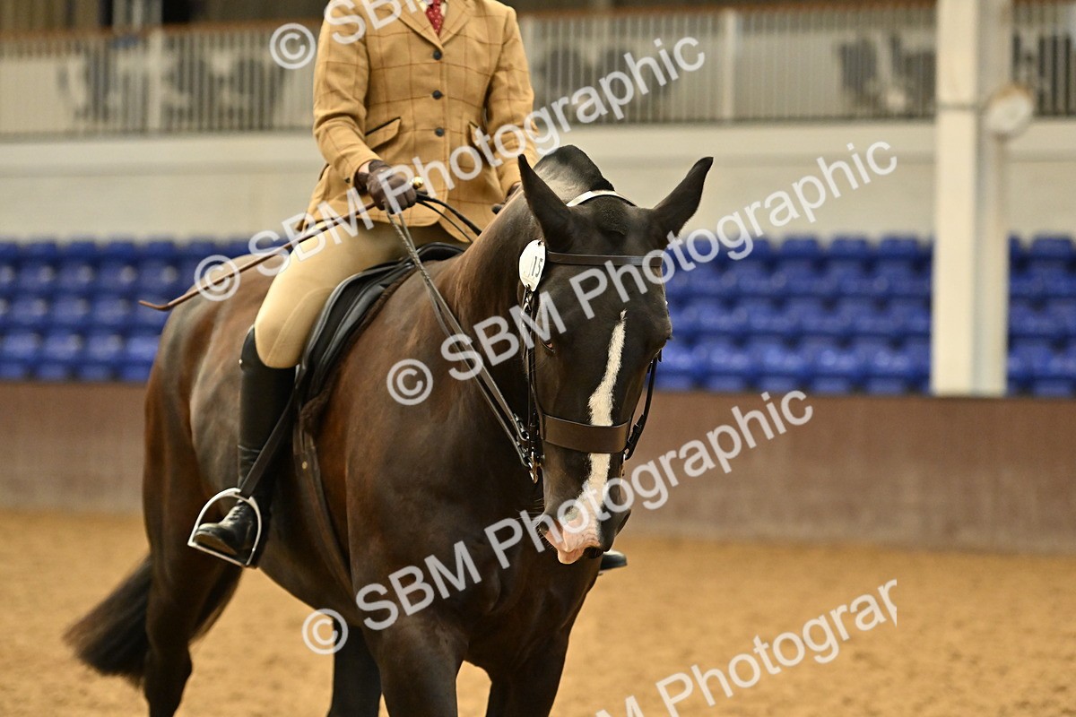 SBM_002042 - Class 21 - BSHA Ridden Show Cob