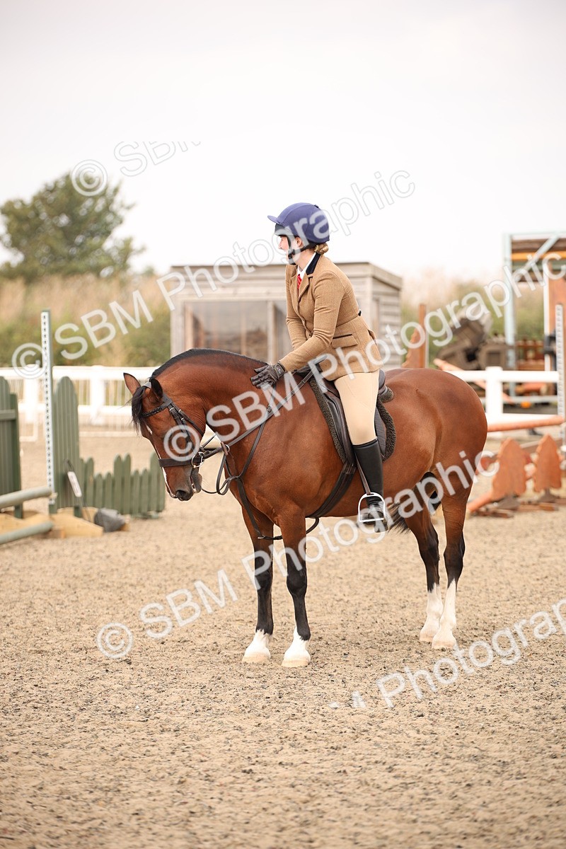 SBM_12274 - Class 405a - M&M Working Veteran 50cm (15-19)