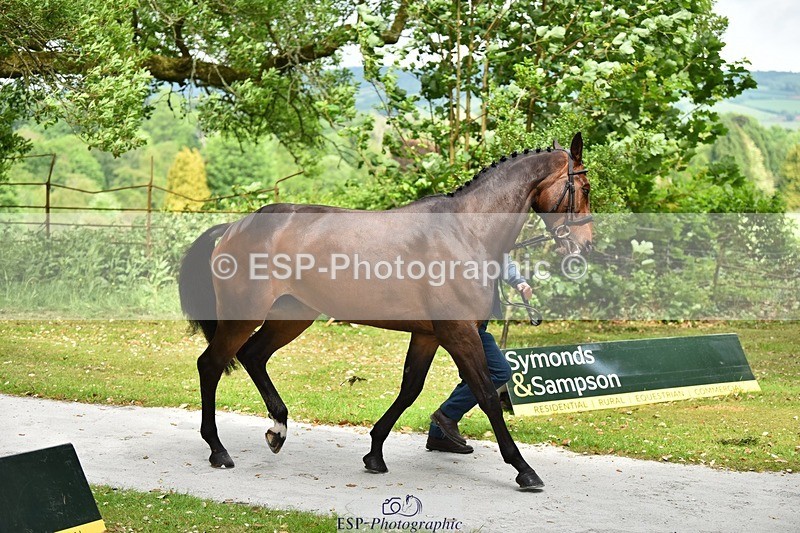 240522-150400-00069 - 303-KILLEENHOUSESTUD_OBOS_16-Tom_D_Crisp