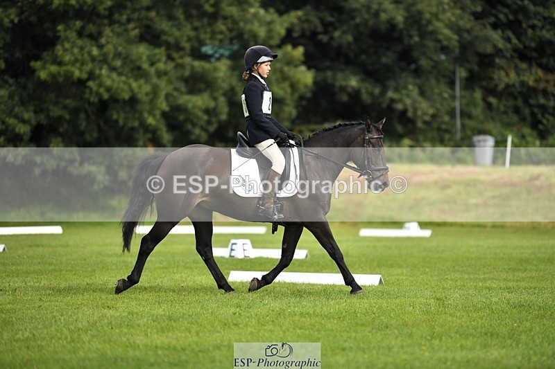 230826-095335-15277 - Sections C & D 9 to 10am