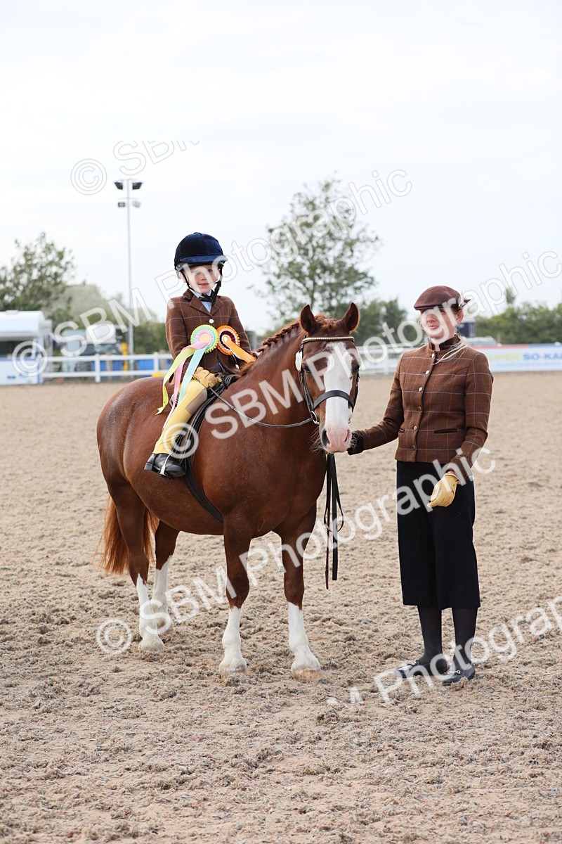 SBM_17047 - Class 314 Family Horse/Pony