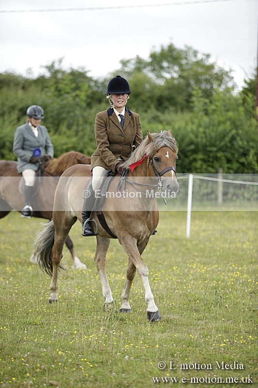 BVR160717-1350 - Ring 1 BVRC Show 16/07/17