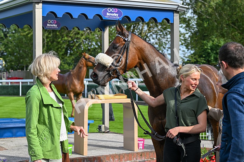 160724-Race 6-Blufferonthebus-9514 - Race 6
