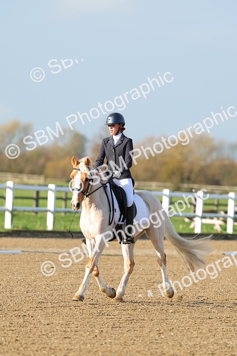 SBM_003006 - Class 2 - Intro 3