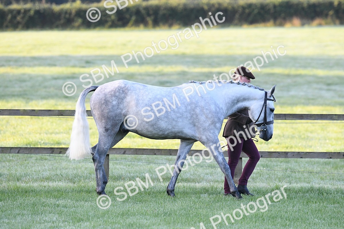 SBM_32407 - S15 - Condition & Turnout In Hand