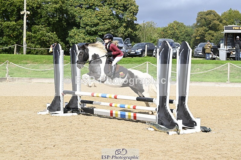 251005A-122043-03727 - Cls 08 Mini 70-75cm