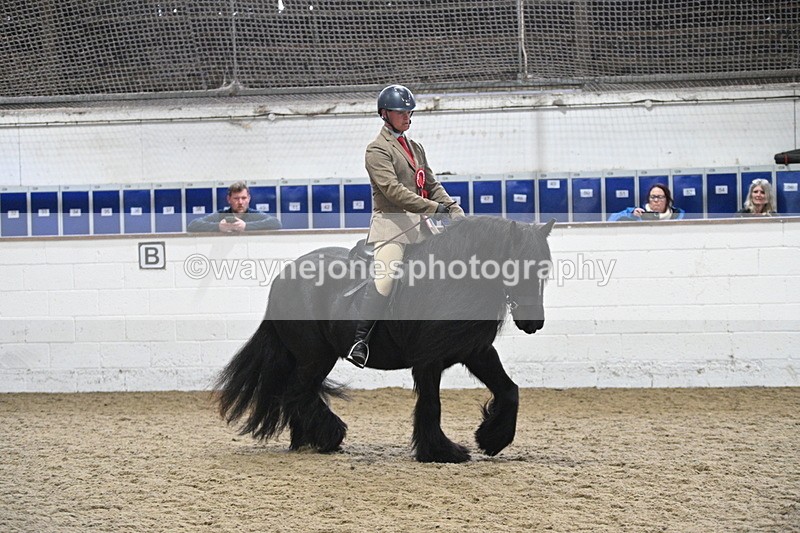 WJ7_4534 - Afternoon Champs