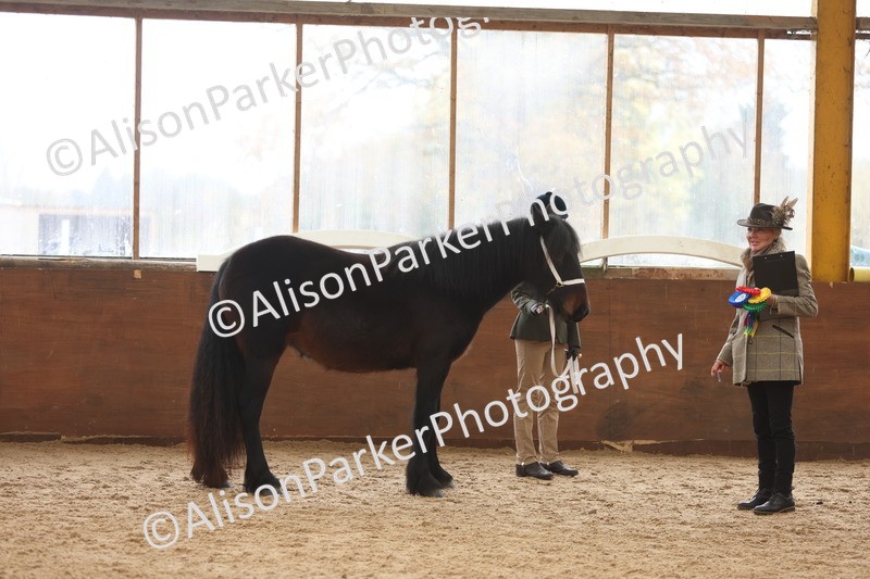 20251109-0918 - Class 26 - 2 and 4 Year Olds