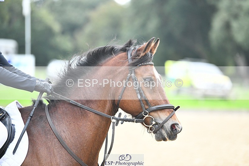 231001-142344-02885 - Cls 3 90cm