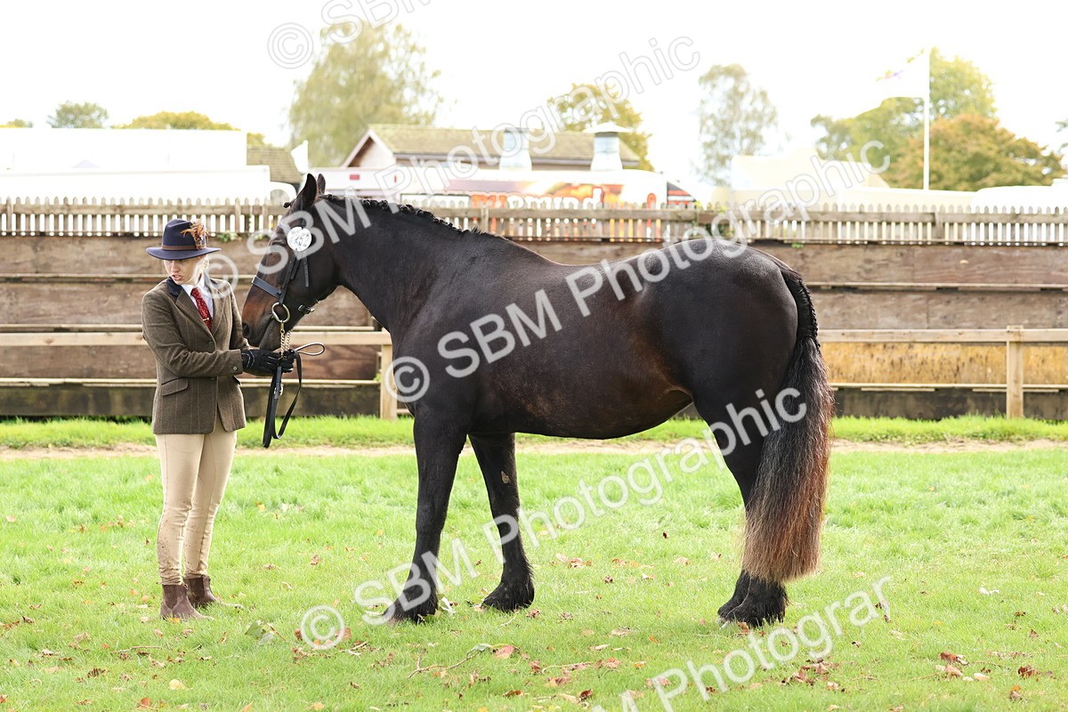 SBM_40754 - S25 -  Veteran In Hand