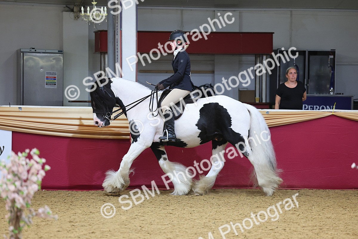 SBM_24403 - Class 906 - Supreme Final - Ridden Pre Vet