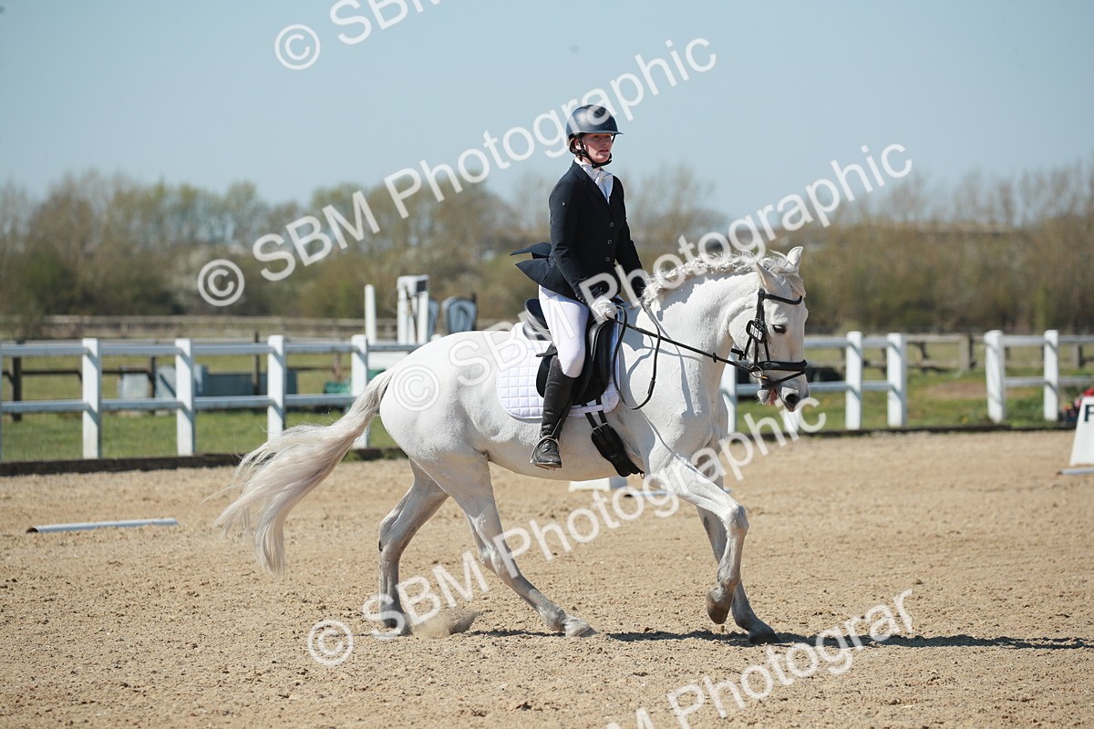 SJ3_0974 - Class 2-5-4-6-7 - Paso Doble-Golega-Sevilla-Lisboa-Novato