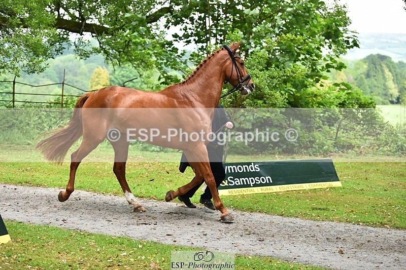 240522-163838-01059 - 215-RAMIRO_WANNABE-Finn_Healy