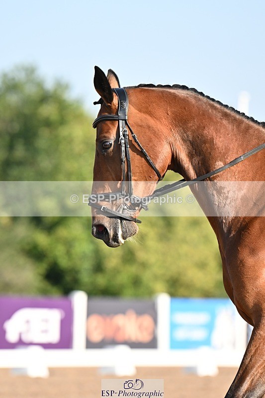 250816-084440-02475 - 107-Jo.RetallackDelgardo.Z