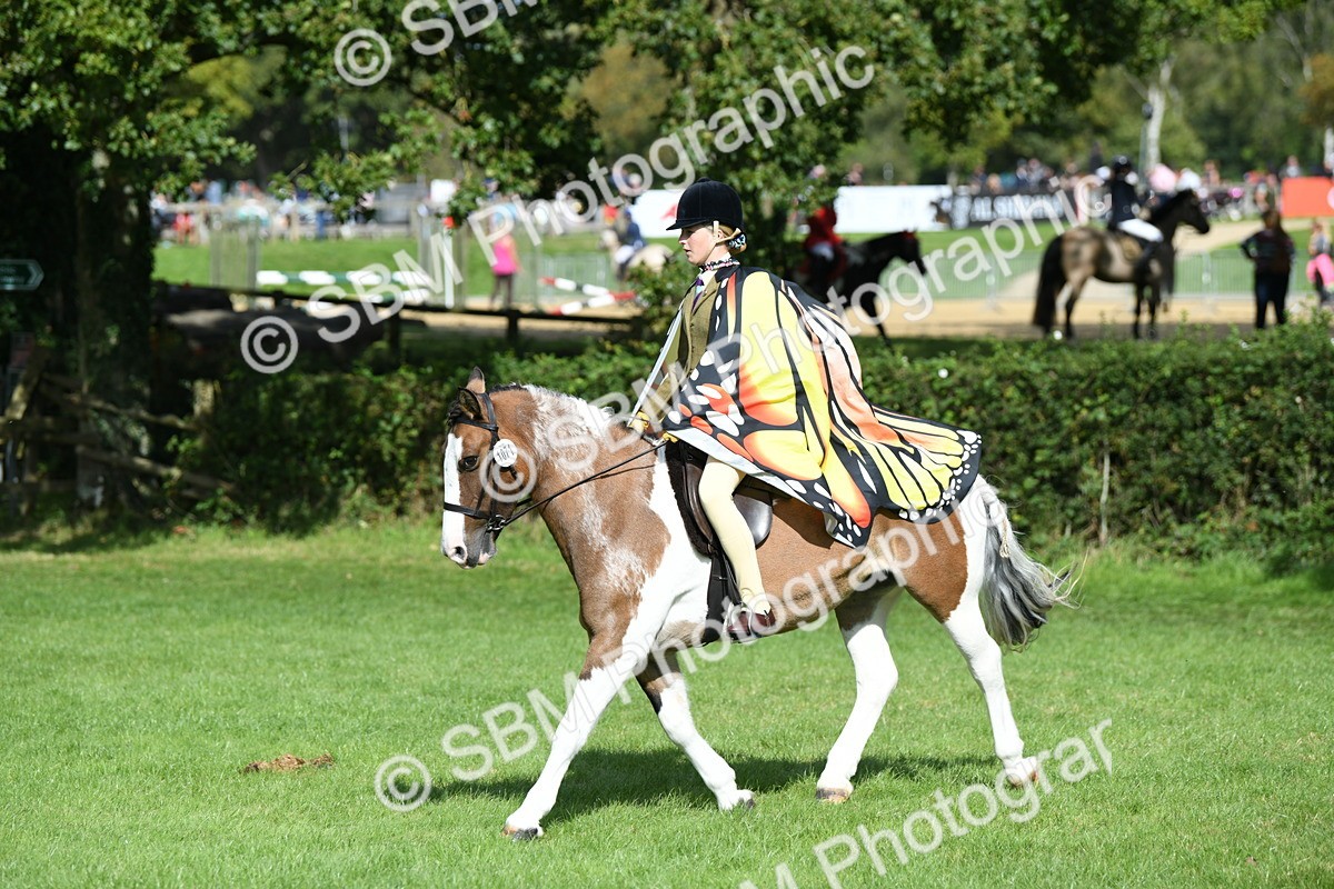 SBM_47096 - S12 - Family Horse & Pony