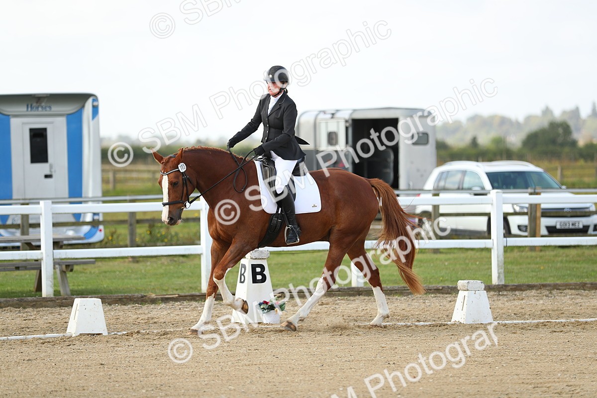 SBM_015605 - Class 13 - Novice 23 - 9.54-11.04