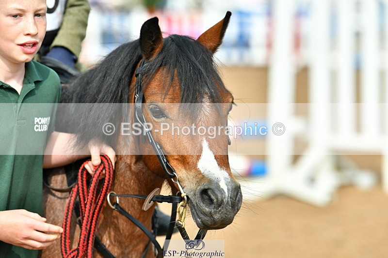 230618A-090808-00140 - Cls 1 30cm