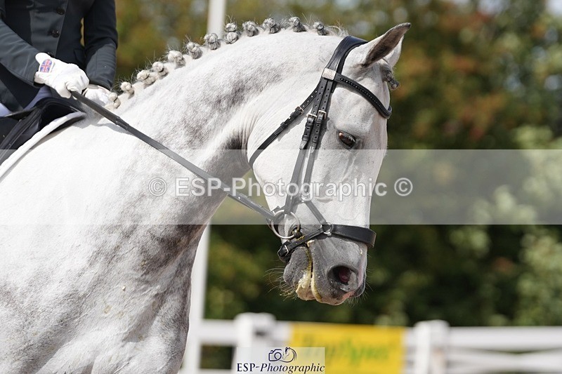 250906-123806-02407 - 072-Jan.ChoppingSeal