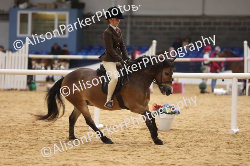 20260913-0647 - Class 126 - Novice Ridden