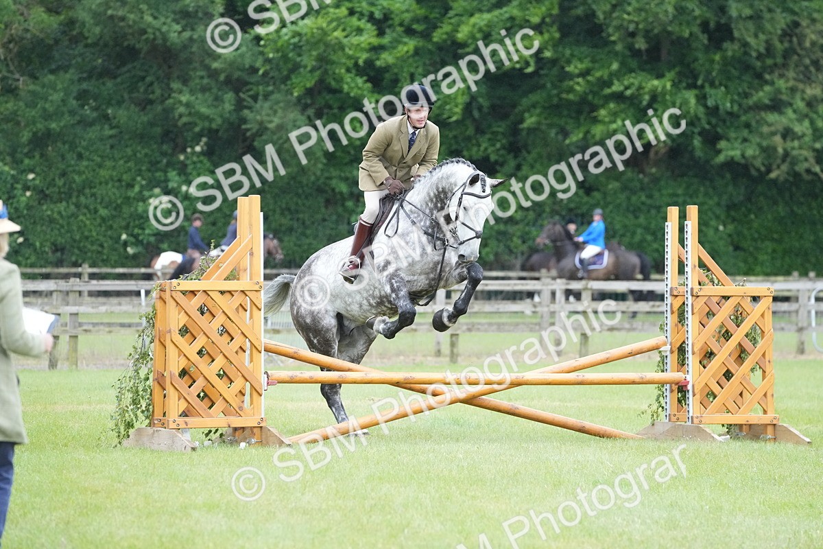 SBM_12600 - Class 97-98 - LIHS BSHA Rising Star Working Show Horse Hunter