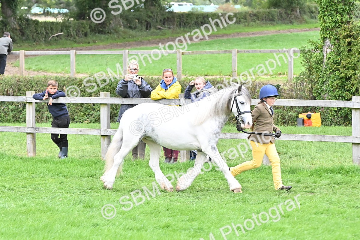 SBM_68561 - S42 - Junior Handler 9-12 Years
