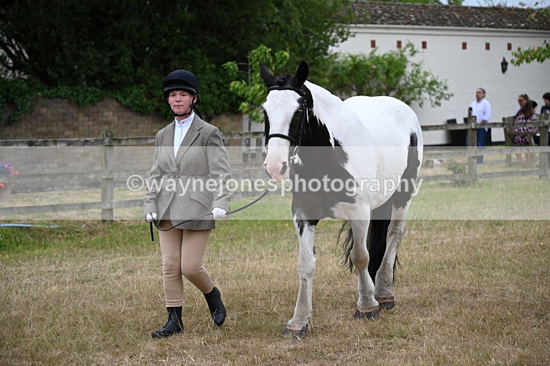 WJ6_8021 - Class 10 Coloured in Hand