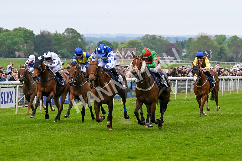 060524-Race 5-Original Thinker-6920 - Race 5