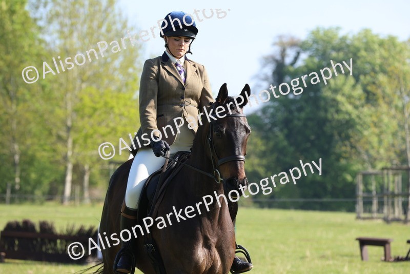 20250427-0559 - Class 17 - Novice Showing