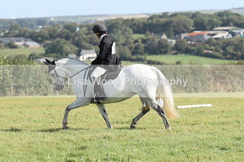 JPP_8076 - Class 2A: Trekenning Open: Dressage