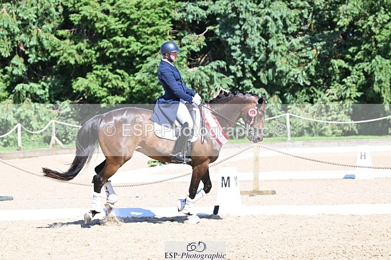 240811-154553-06862 - Inter I Silver