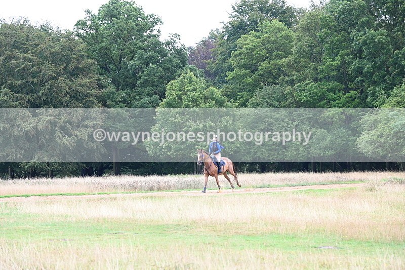 DSC_3806 - Time at Statue 13:51 to 14:55
