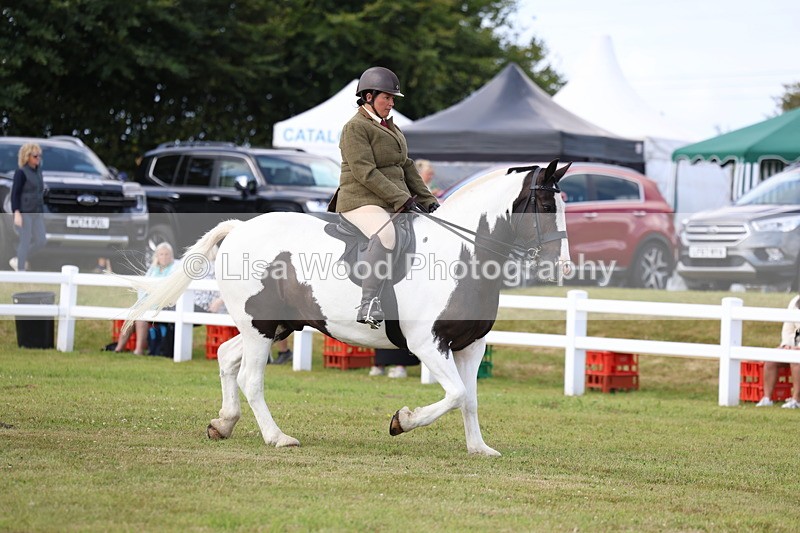 3E7A9648 - Class 5: Rising Star Lightweight/Heavyweight Cobs