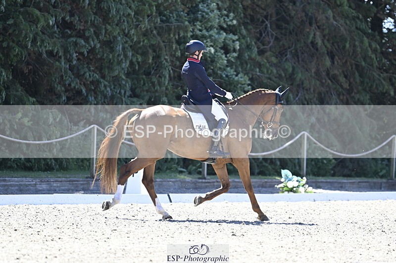 250522A-110557-03000 - B-315-Tom.McEwen-SHANNONDALE.ARNOLD