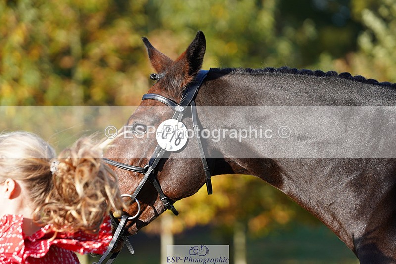 241026-100744-11632 - 018-Alice.Robinson-DERRYS.DIAMOND.CAVALIER