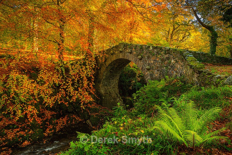 Glorious Autumn At Foley's Bridge