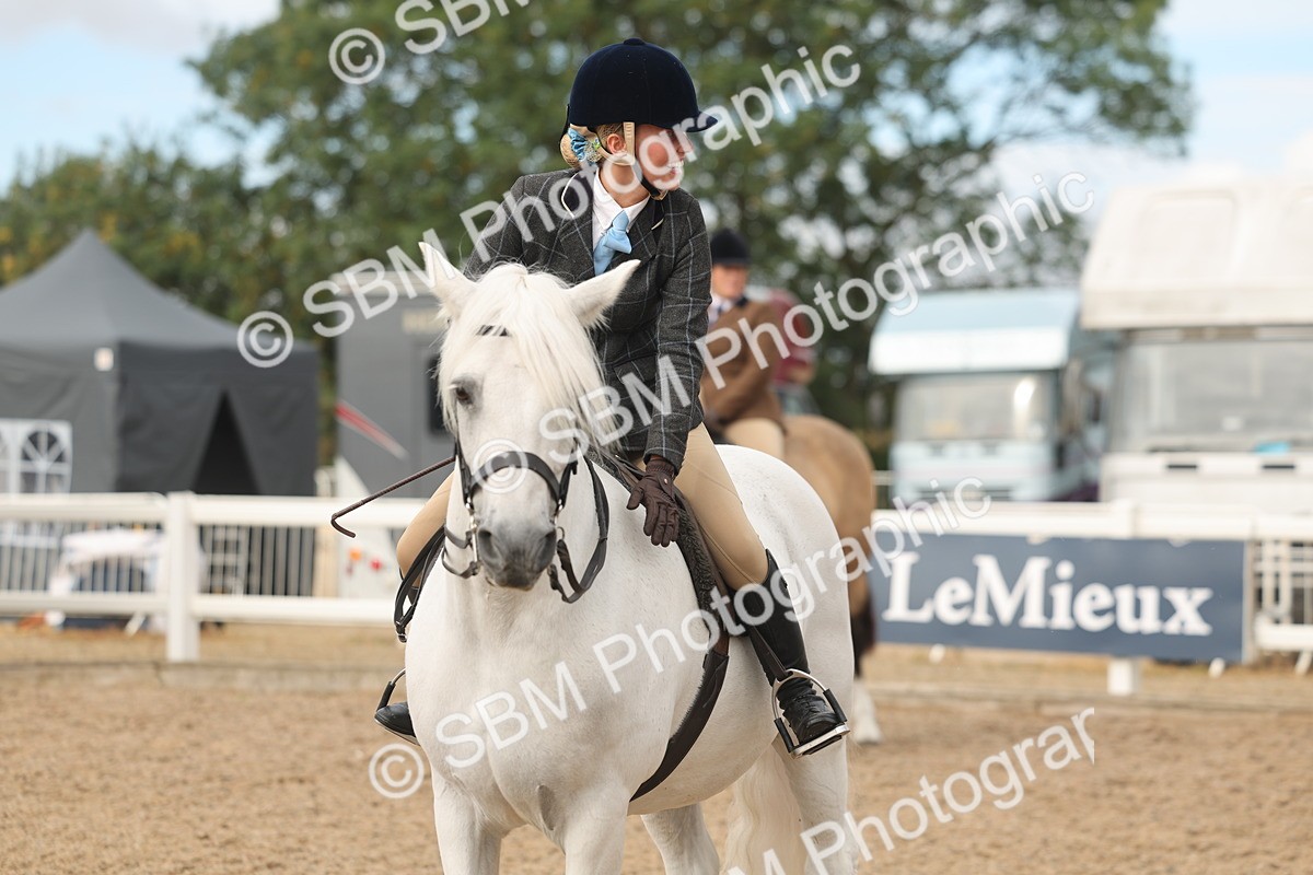 SBM_01999 - Class 14 - Ridden M&M Wildcard