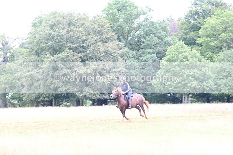 DSC_9763 - Time at Statue 15:11 to 15:58